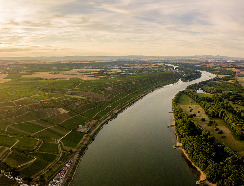 betriebskita rheinland pfalz 2