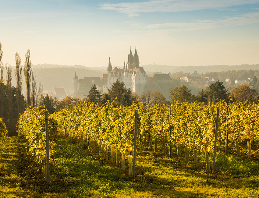 betriebskita sachsen 1