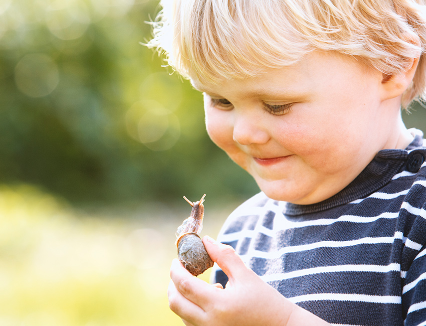 kita concept eltern kinder